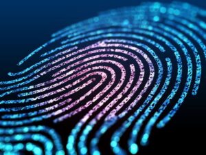 Biometric image