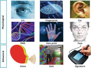 Physical Biometrics image